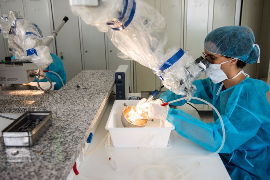 LABORATORIO DI DISSEZIONE “WILLIAM HOUSE”